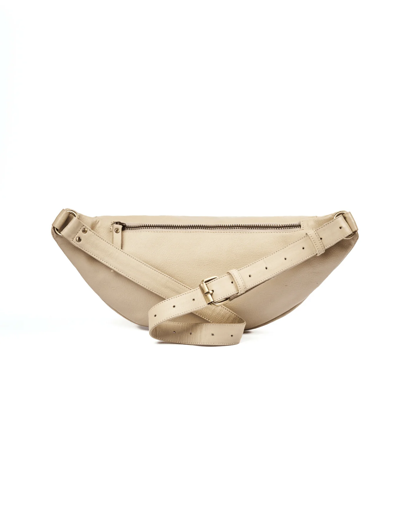 Atlas - Bone - Image 3